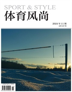 体育风尚