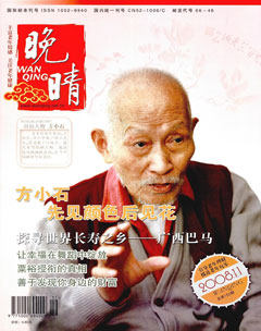 2008年第11期