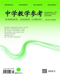 中学教学参考（综合版）