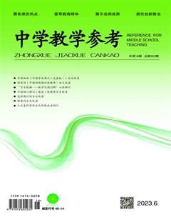 中学教学参考（综合版）