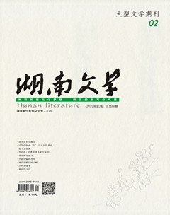 湖南文学