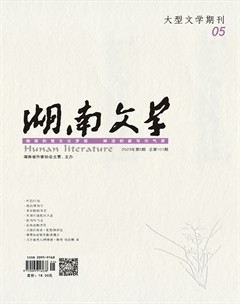 湖南文学