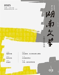 湖南文学