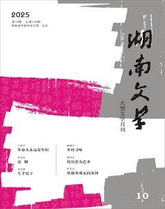 湖南文学