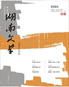 湖南文学