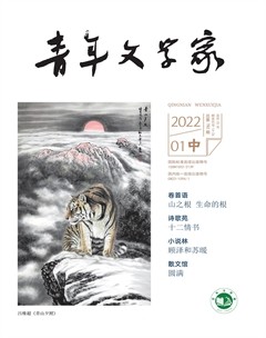 青年文学家2022年第2期