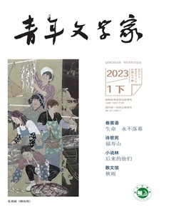 青年文学家2023年第3期