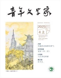 青年文学家