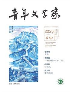 青年文学家