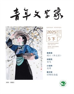 青年文学家