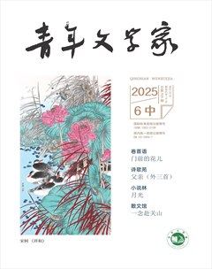 青年文学家