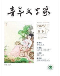青年文学家