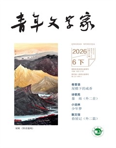 青年文学家