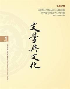 文學(xué)與文化