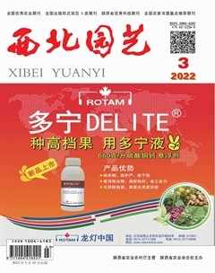 西北园艺·蔬菜