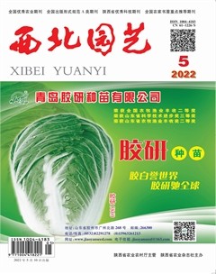 西北园艺·蔬菜