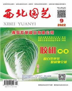 西北园艺·蔬菜