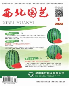 西北园艺·蔬菜