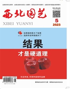 西北园艺·蔬菜
