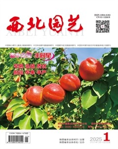 西北园艺·蔬菜