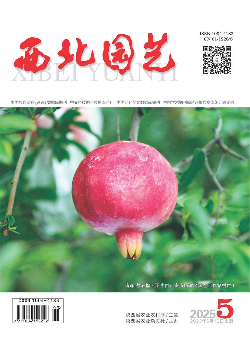 西北园艺·蔬菜
