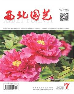 西北园艺·蔬菜