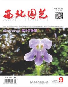 西北园艺·蔬菜