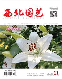 西北园艺·蔬菜