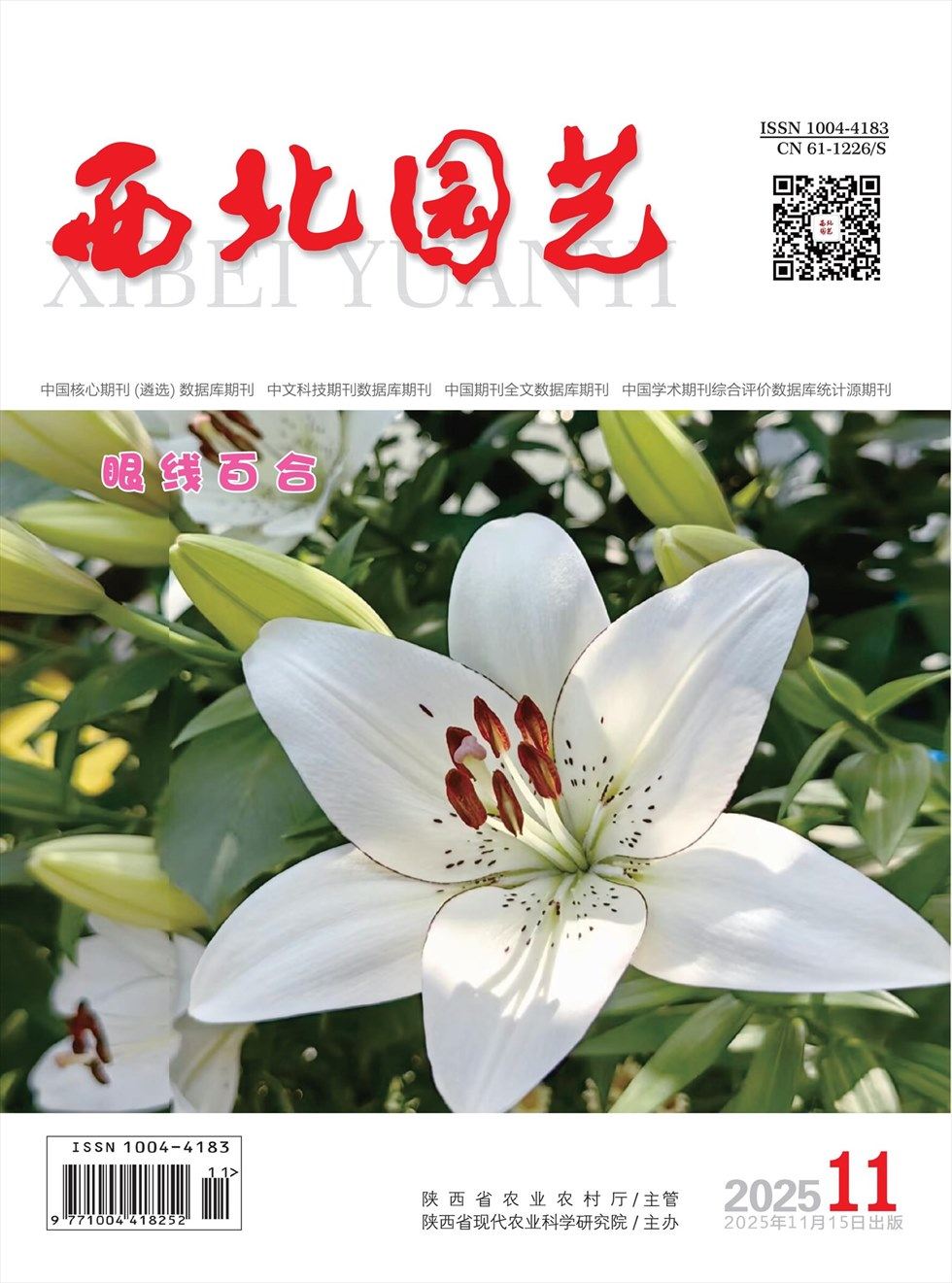 西北园艺·蔬菜