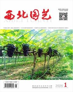 西北园艺·蔬菜