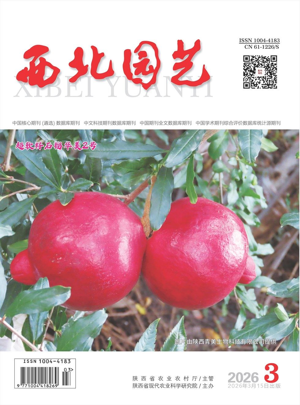 西北园艺·蔬菜