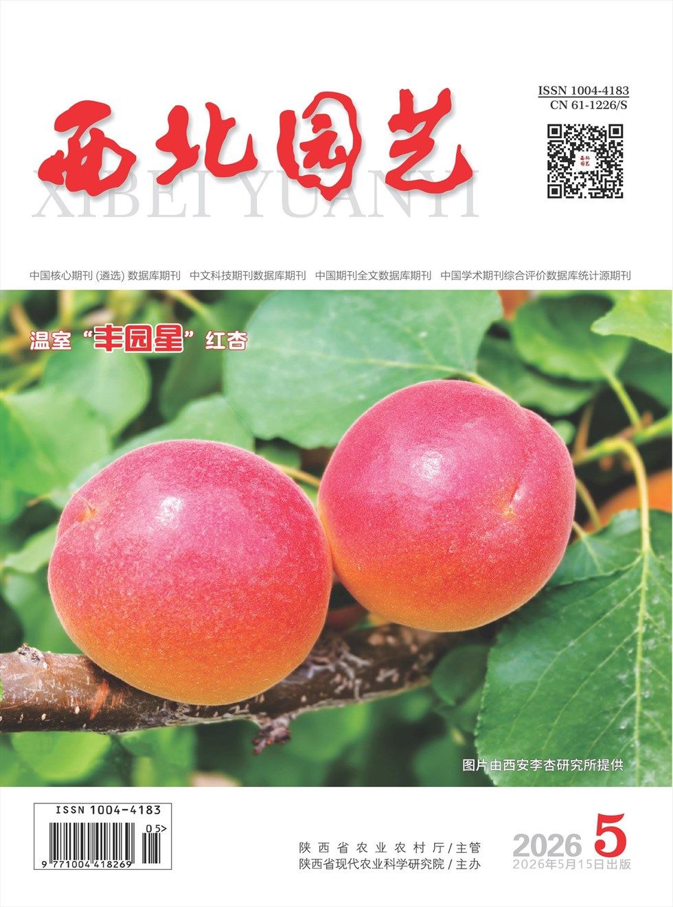 西北园艺·蔬菜