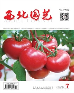 西北园艺·蔬菜