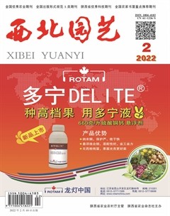 西北园艺·果树