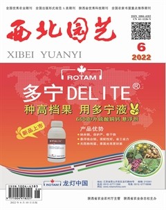 西北园艺·果树