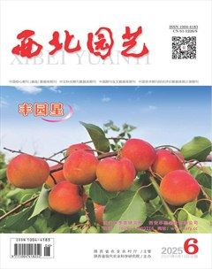 西北園藝·果樹