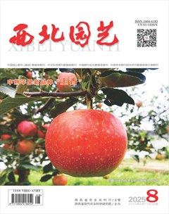 西北园艺·果树