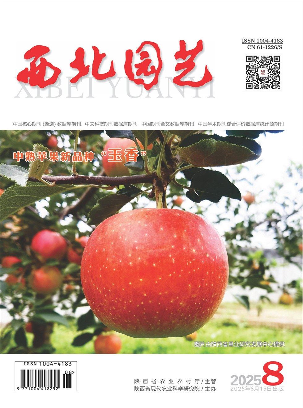 西北园艺·果树