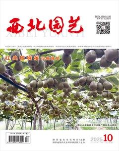 西北园艺·果树