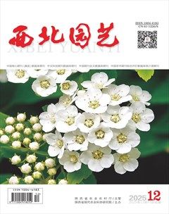 西北园艺·果树