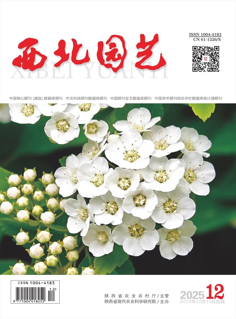 西北园艺·果树