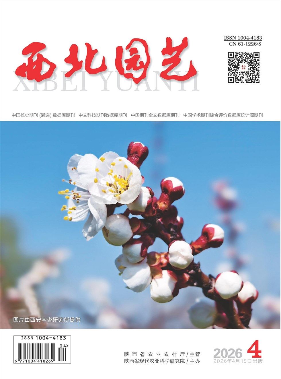 西北园艺·果树