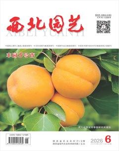 西北园艺·果树