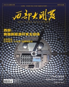 西部大開(kāi)發(fā)