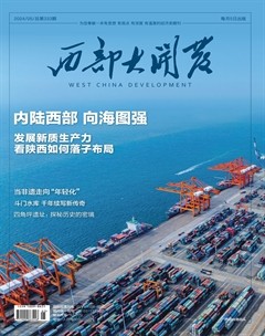 西部大開發(fā)