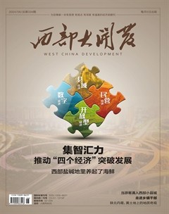 西部大开发