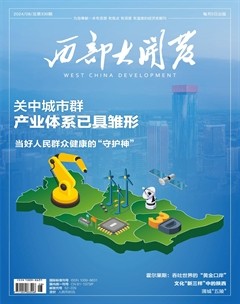 西部大开发