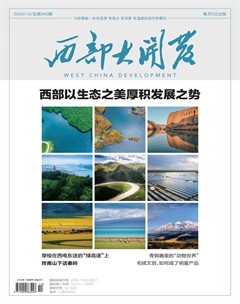 西部大开发