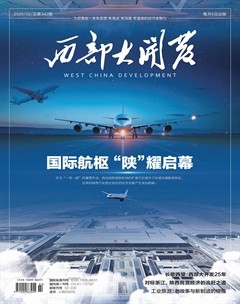 西部大开发