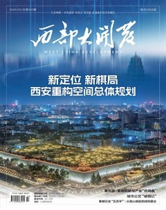 西部大开发